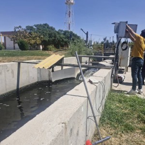 دبی سنجی کانال