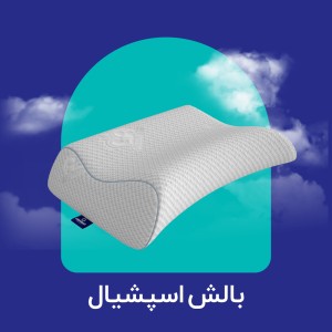 بالش اسپشیال