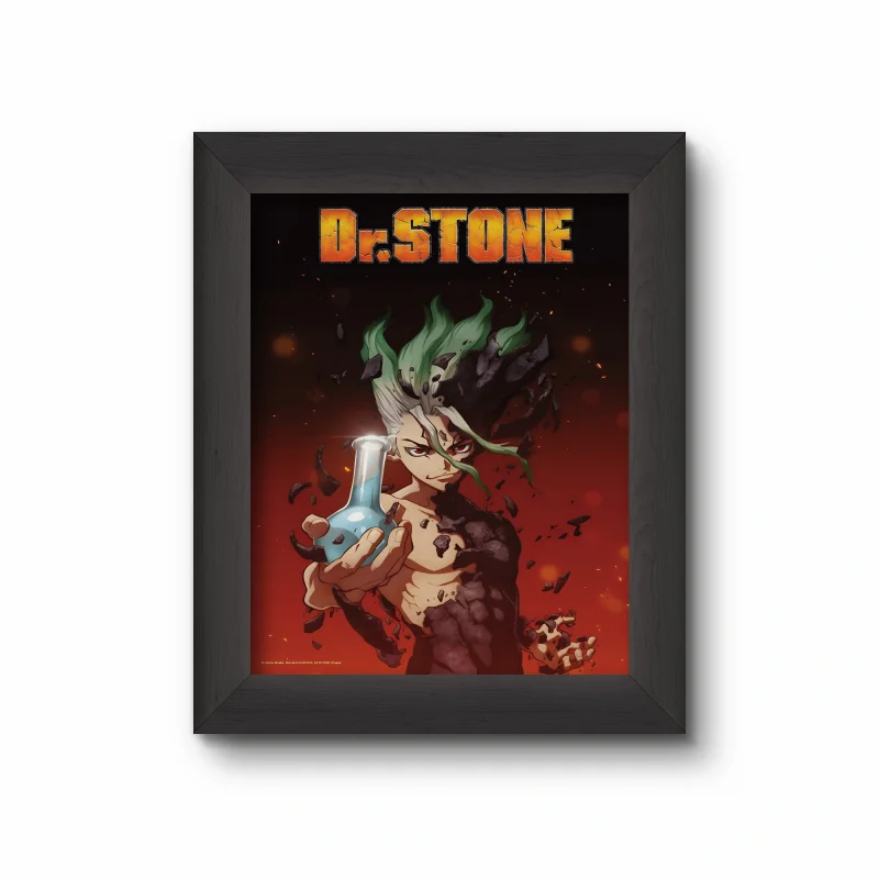 تابلو انیمه Dr Stone