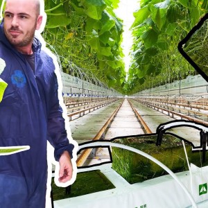 پشم سنگ گلخانه در آذربایجان شرقی و تبریز