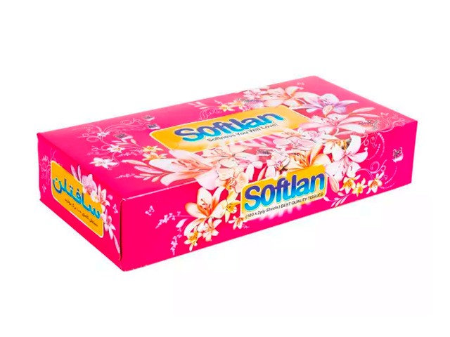 دستمال کاغذی 100 برگ باغ بهشت سافتلن