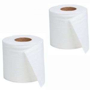 دستمال توالت هتلی دایا