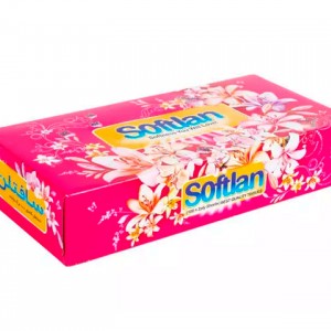 دستمال کاغذی 100 برگ باغ بهشت سافتلن