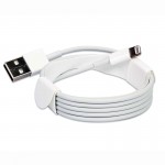 کابل iPhone 7 Apple Store پکدار