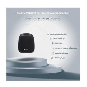 اسپیکر بلوتوثی قابل حمل پرووان مدل PSB4975