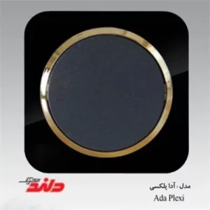کلید و پریز مشکی پلکسی زه طلایی دلند مدل آدا