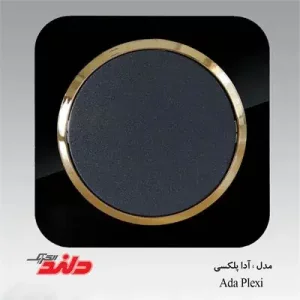 کلید و پریز مشکی مات زه طلایی دلند مدل آدا