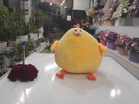 عروسک مرغ ناقلا کوچک