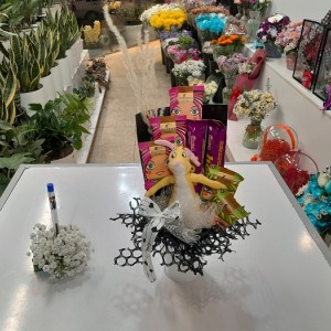باکس عروسکی کانگورو زرد