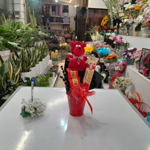 سطل هدیه تدی دماغ دکمه ای