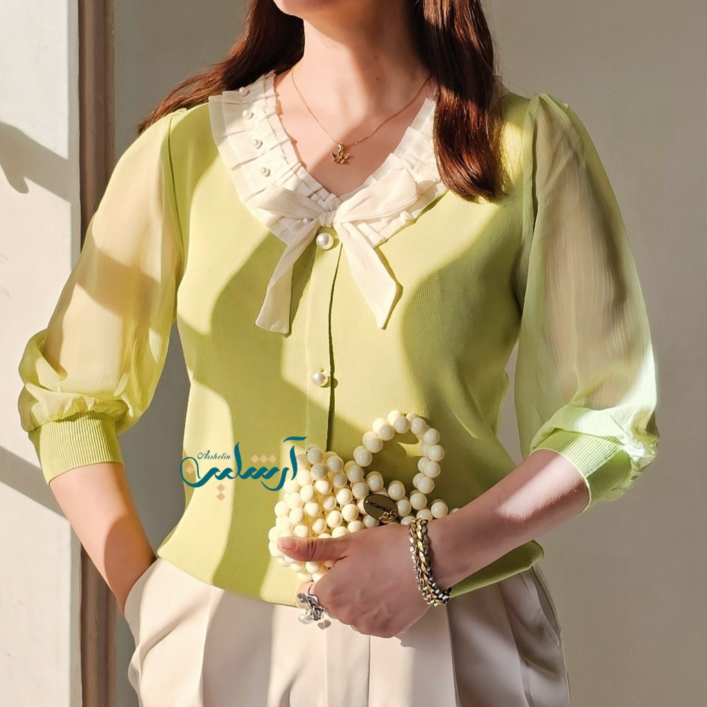 شومیز پانیذ