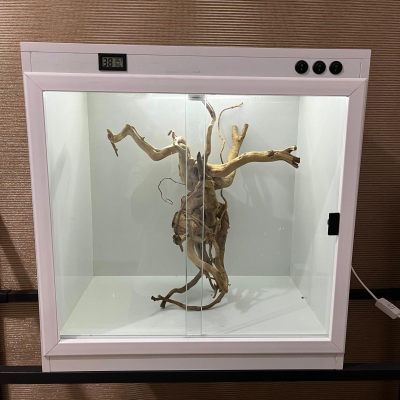 تراریوم EPV646