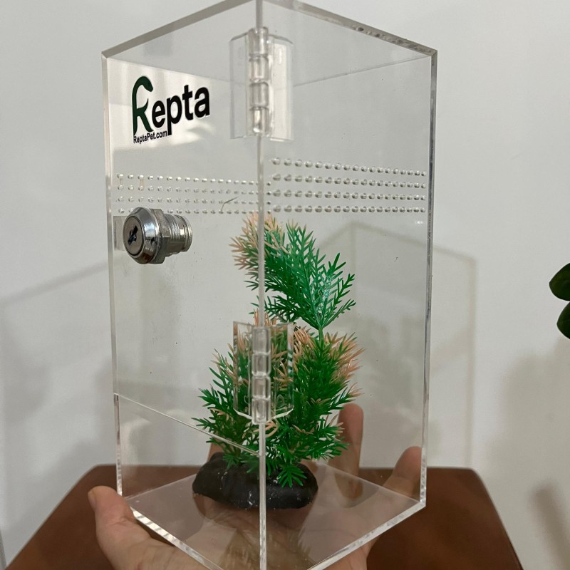 باکس پلکسی قفل دار با ارتفاع 20