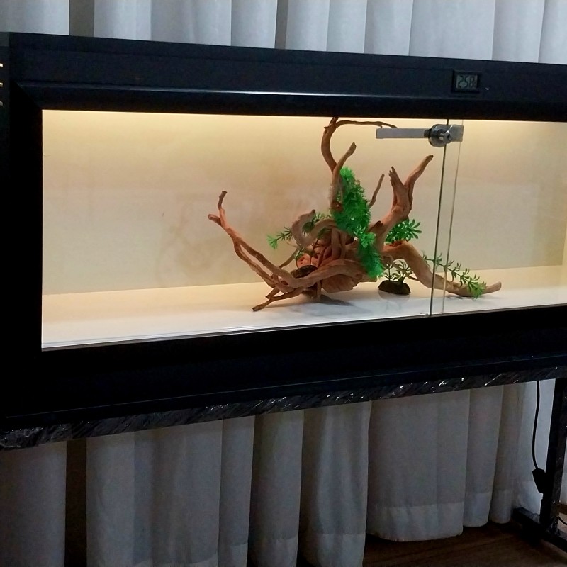 تراریوم RGB_MP1244