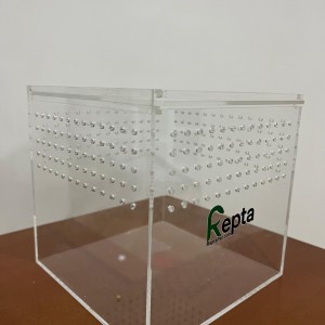 باکس نگهداری تارانتولا