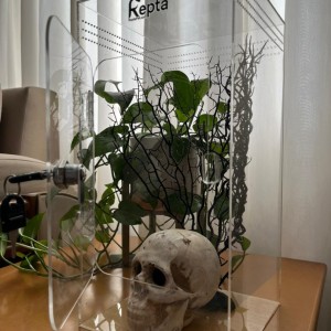 باکس پلکسی قفل دار با ارتفاع 40