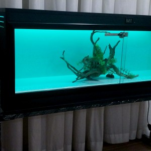 تراریوم RGB_MP1244