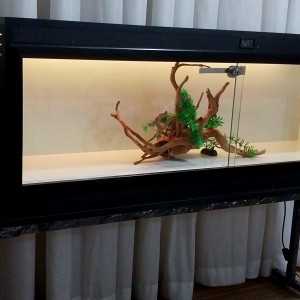 تراریوم RGB_MP1244