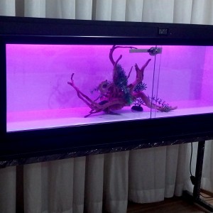 تراریوم RGB_MP1244