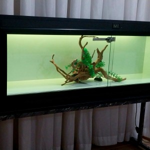 تراریوم RBG_MP1244