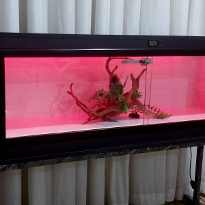 تراریوم RBG_MP1244