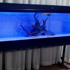 تراریوم RBG_MP1244