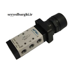شیر مکانیکی فشاری 2-5 سایز 1/8 ایرتک M5PF110-06