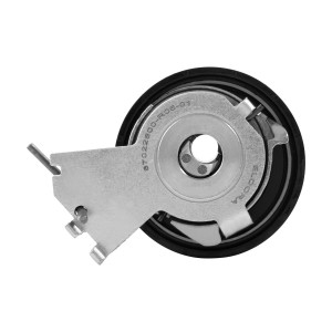 بلبرینگ تسمه سفت کن تایم الدورا کد 87022800 مناسب برای پژو 206 تیپ 2
