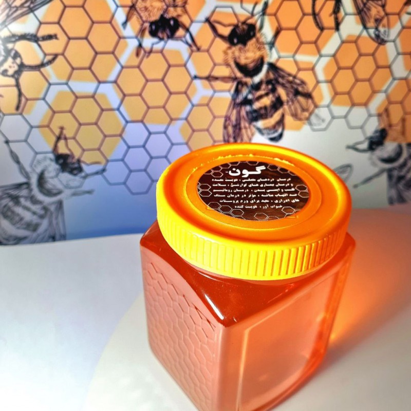 عسل گون 1 کیلویی