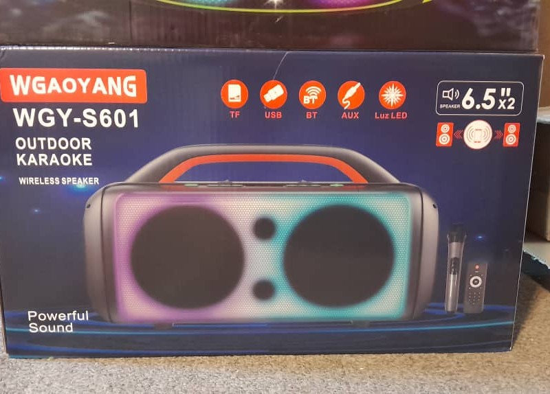 اسپیکر wgy s601