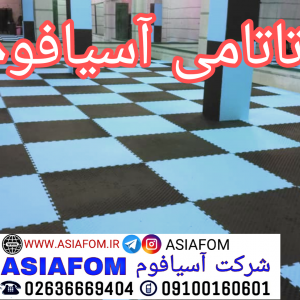 تاتامی ممتاز ۲۵ میل