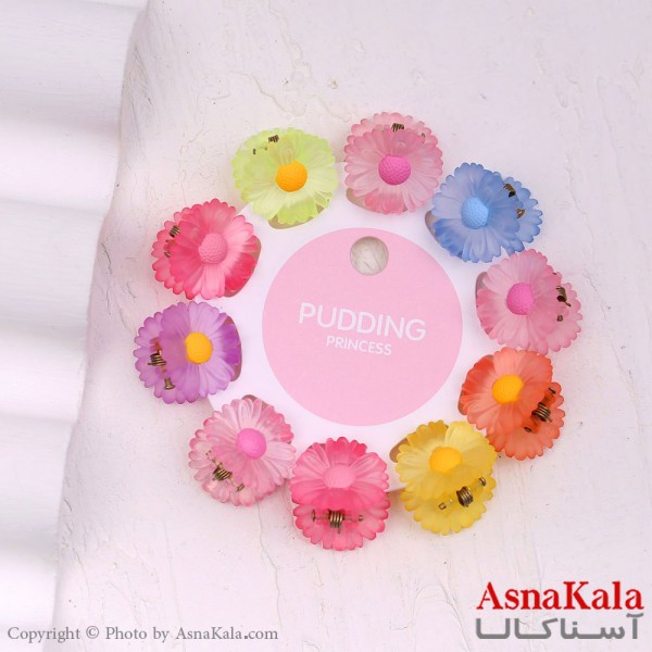 گیره مو زنانه کوچک جنس خارجی 10عددی مدل بابونه کد HAIR13270W