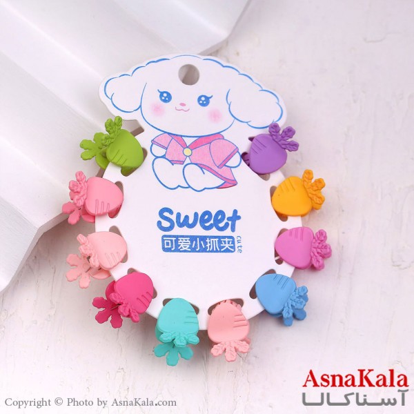 گیره مو زنانه کوچک جنس خارجی 10عددی مدل هویچ کد HAIR13276W