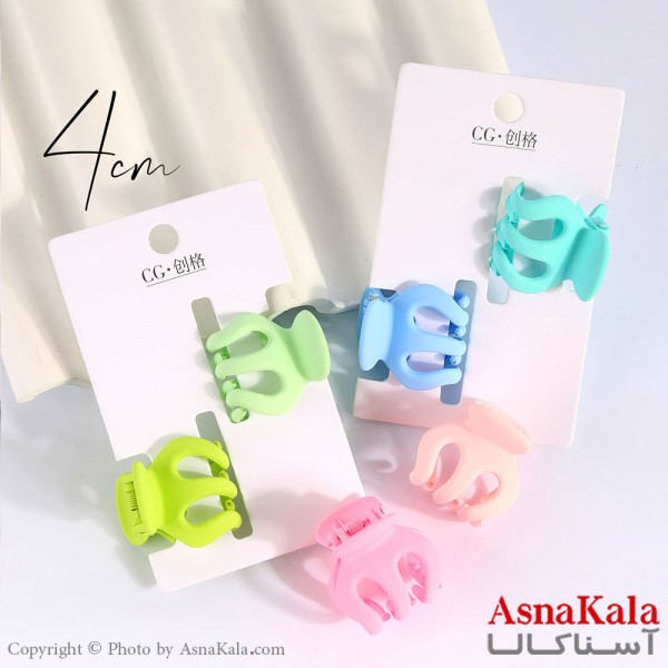 مینی کلیپس پینترستی مدل چنگکی رنگی کد HAIR13906W