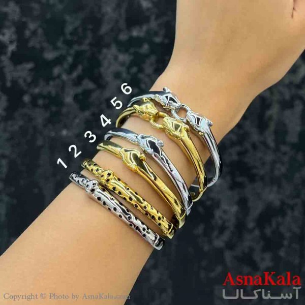 بنگل دخترانه پینترستی استیل  طرح مینمال ببری مدرن کد DSB181343W