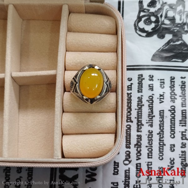 انگشتر نقره روس مردانه نگیندار کد ANG191119W