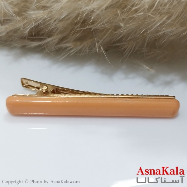 گیره مو زنانه انبری آبرنگی کد HAIR131116W