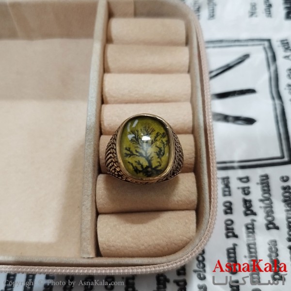 انگشتر طلاروس مردانه شجره نگیندار کد ANG191376W