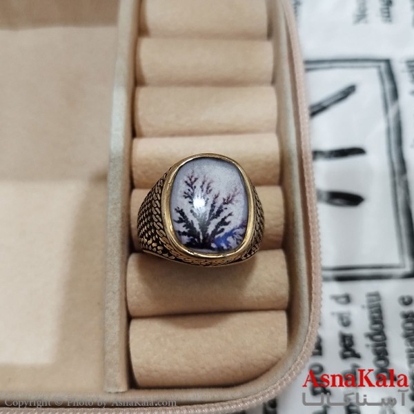 انگشتر طلاروس مردانه شجره نگیندار کد ANG191377W