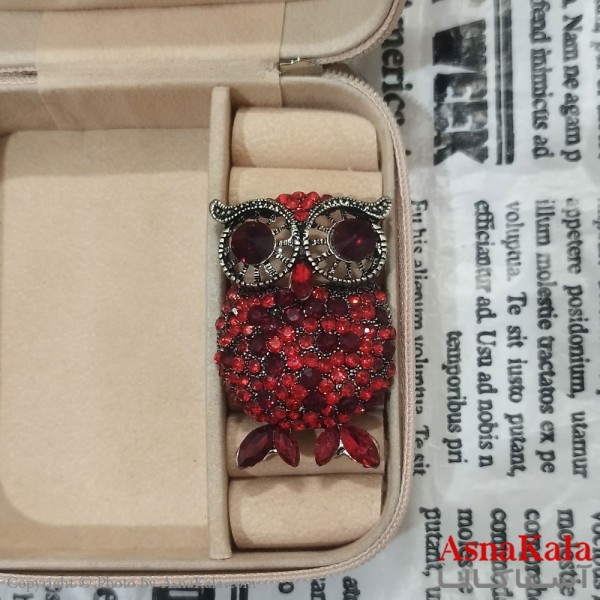 سنجاق سینه زنانه مدل جغد کد HAIR131236W