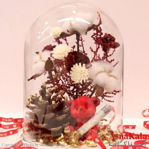 باکس ولنتاین خرس قرمز کد HAIR13288W