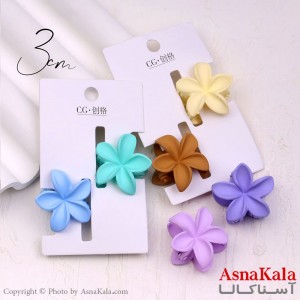 مینی کلیپس پینترستی مدل پلومریا مات کد HAIR13898W