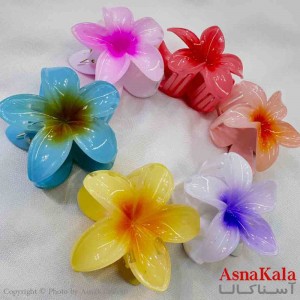 کلیپس مو زنانه پینترستی مدل پلومریا  کد HAIR131006W