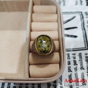 انگشتر طلاروس مردانه شجره نگیندار کد ANG191376W