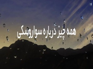 همه چیز درباره برند سواروسکی