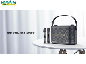 اسپیکر بلوتوث دبلیو کینگ W-King H10S توان 80 رم و فلش خور با میکروفون