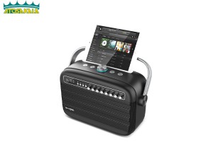 اسپیکر بلوتوث دبلیو کینگ W-King K9 Wireless Speaker توان 100 وات رم و فلش خور با دو عدد میکروفون