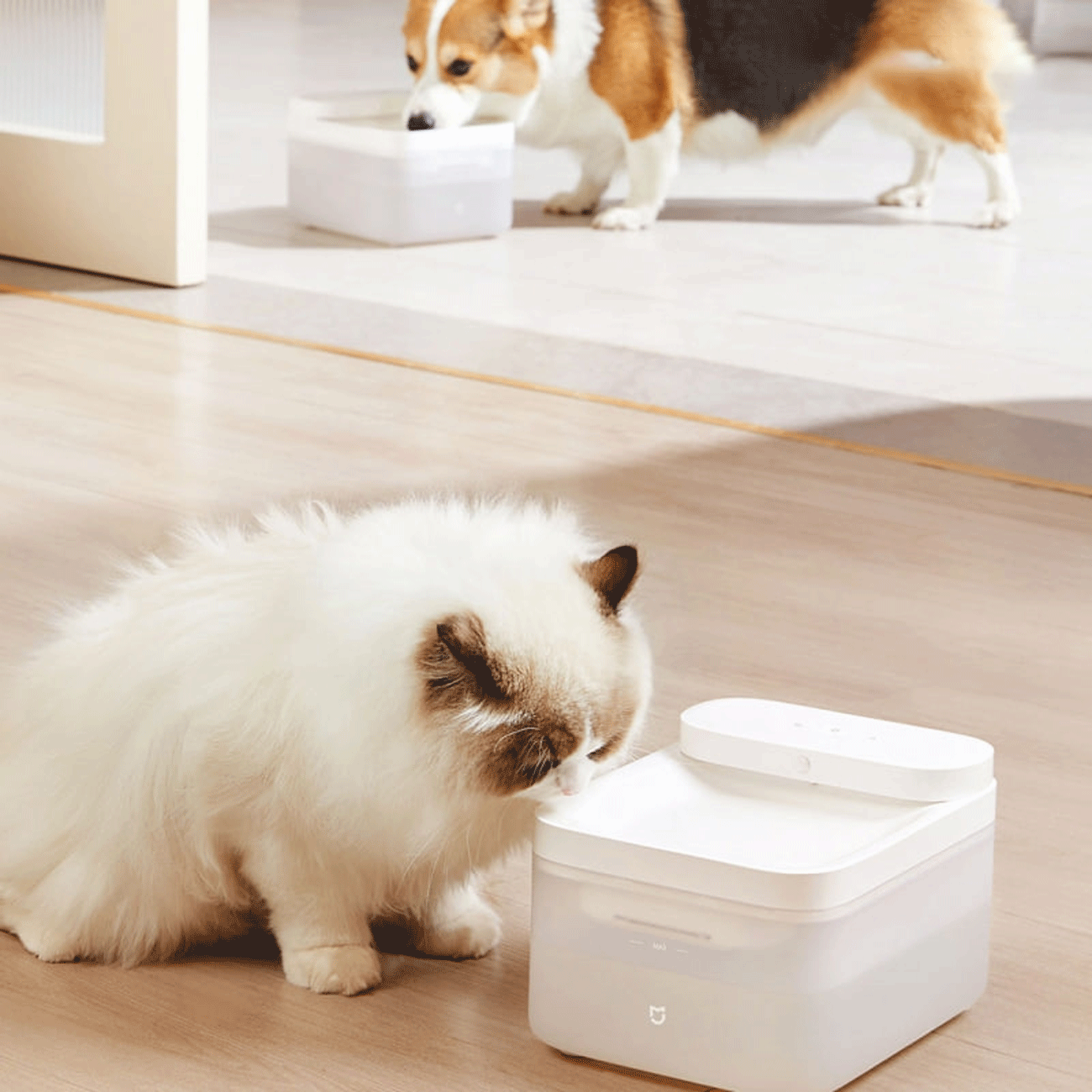 ظرف آب هوشمند بی سیم حیوانات خانگی میجیا شیائومی XWWF02MG