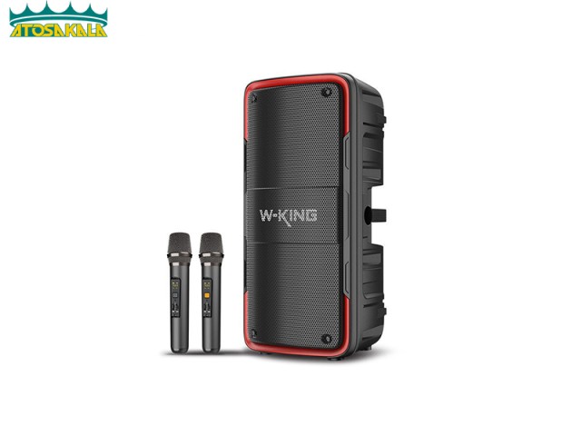 اسپیکر بلوتوث دبلیو کینگ W-King T7 توان 100 رم و فلش خور با 2 میکروفون