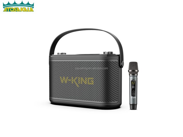 اسپیکر بلوتوث دبلیو کینگ W-King H10S توان 80 رم و فلش خور با میکروفون
